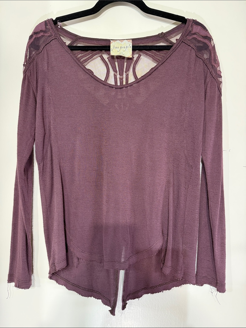 Free People Dusty Plum Long Sleeve Mesh Back Top